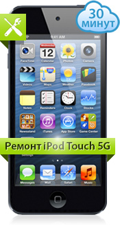 Ремонт iPod Touch 5g